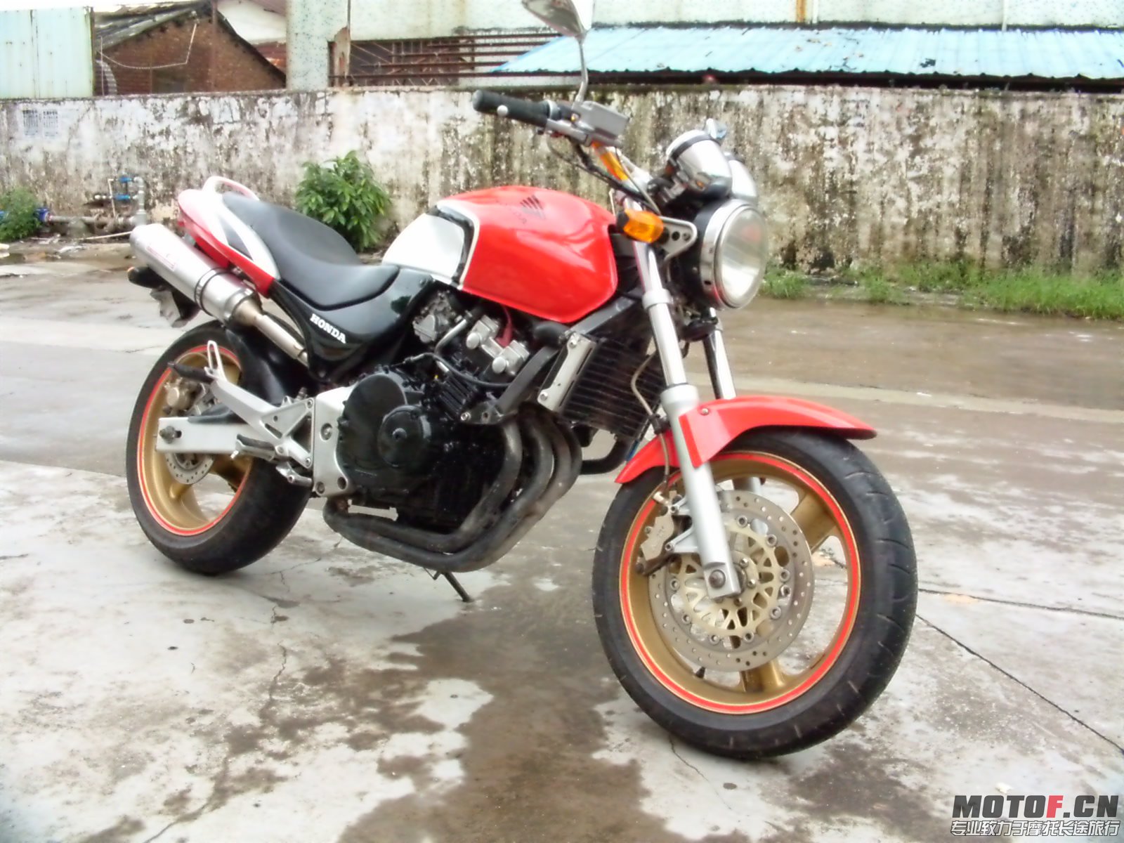DVCI1612.JPG