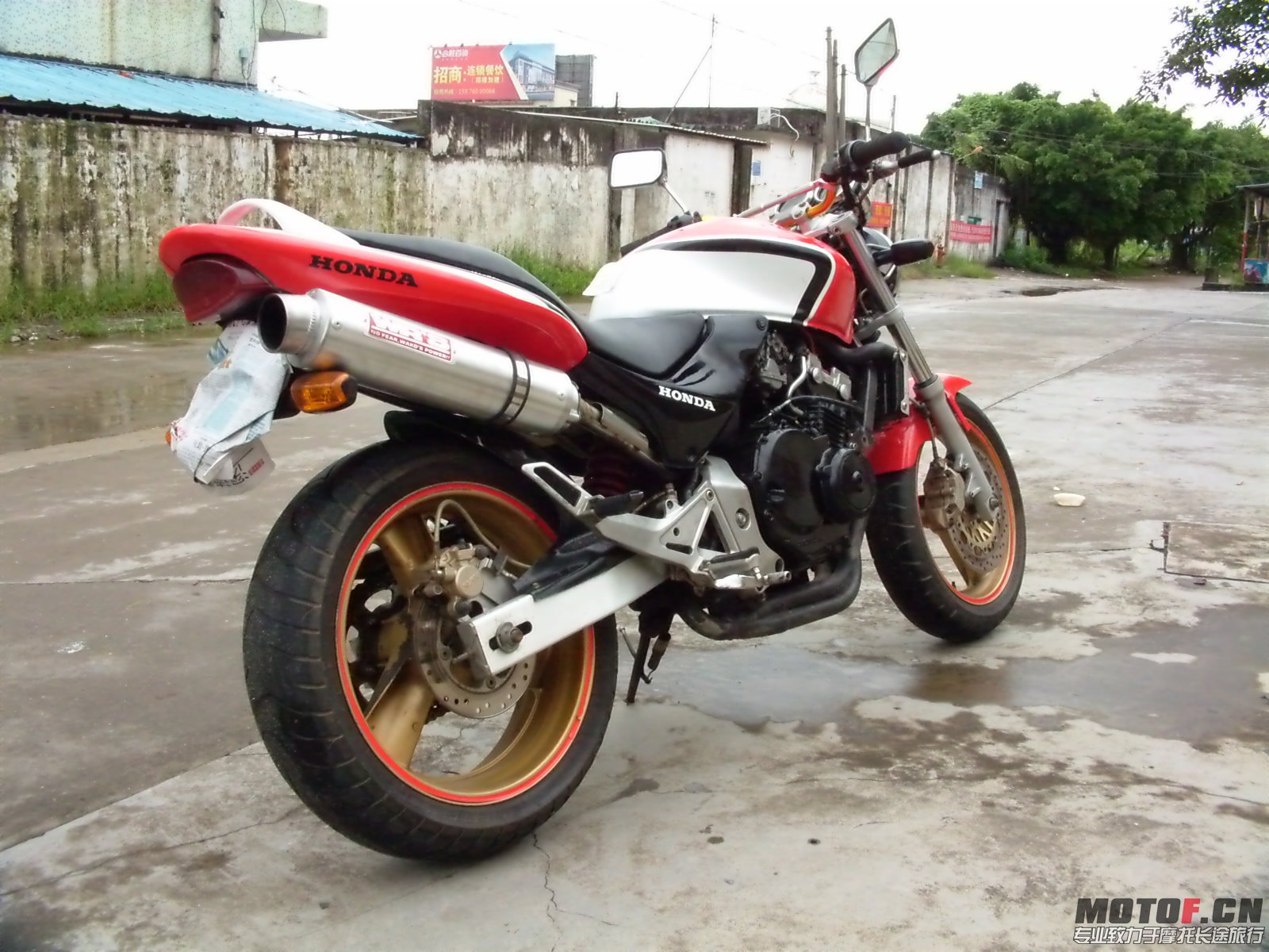 DVCI1613.JPG