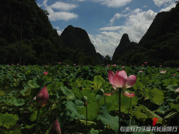 图片72.jpg