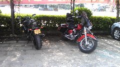 77200833.jpg