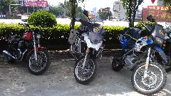 77200788.jpg