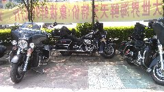 77200787.jpg