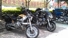 77200784.jpg
