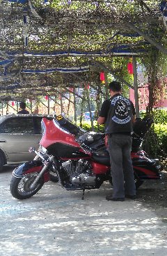 77200733.jpg