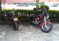 77187326.jpg