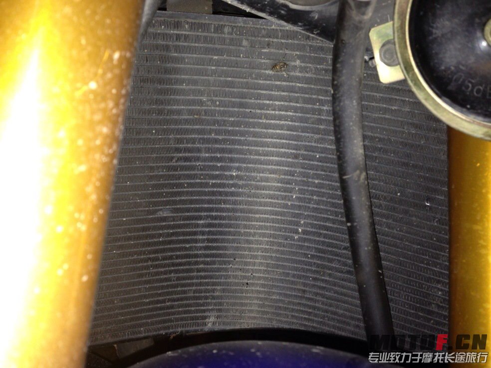 7f324511jw1e8vl096oj6j20rc0ki43i.jpg