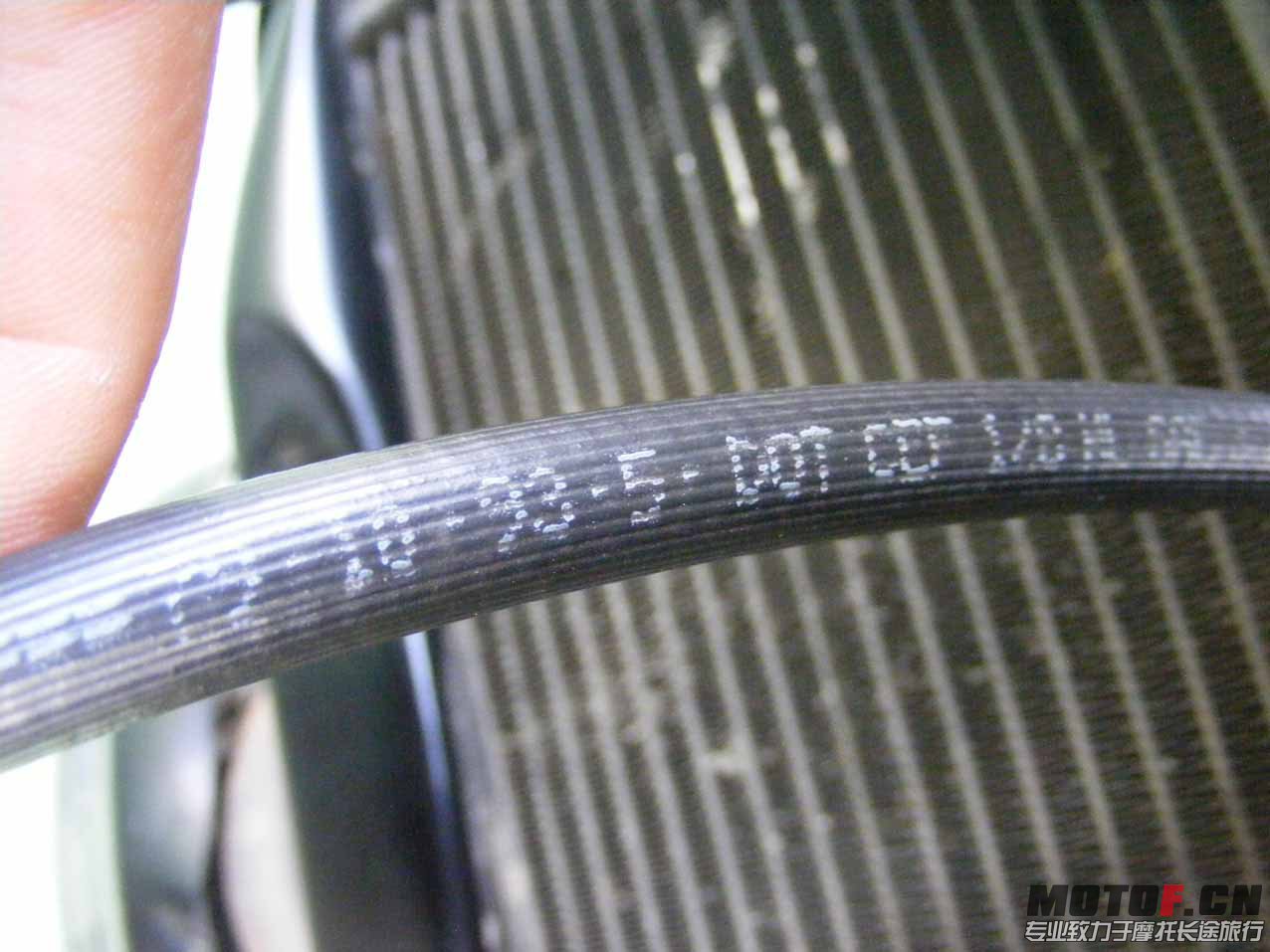 DSCF7260.JPG