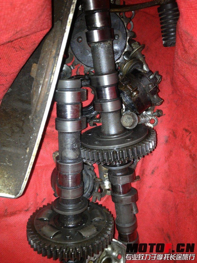 195136atrgfbidptdmepmg.jpg