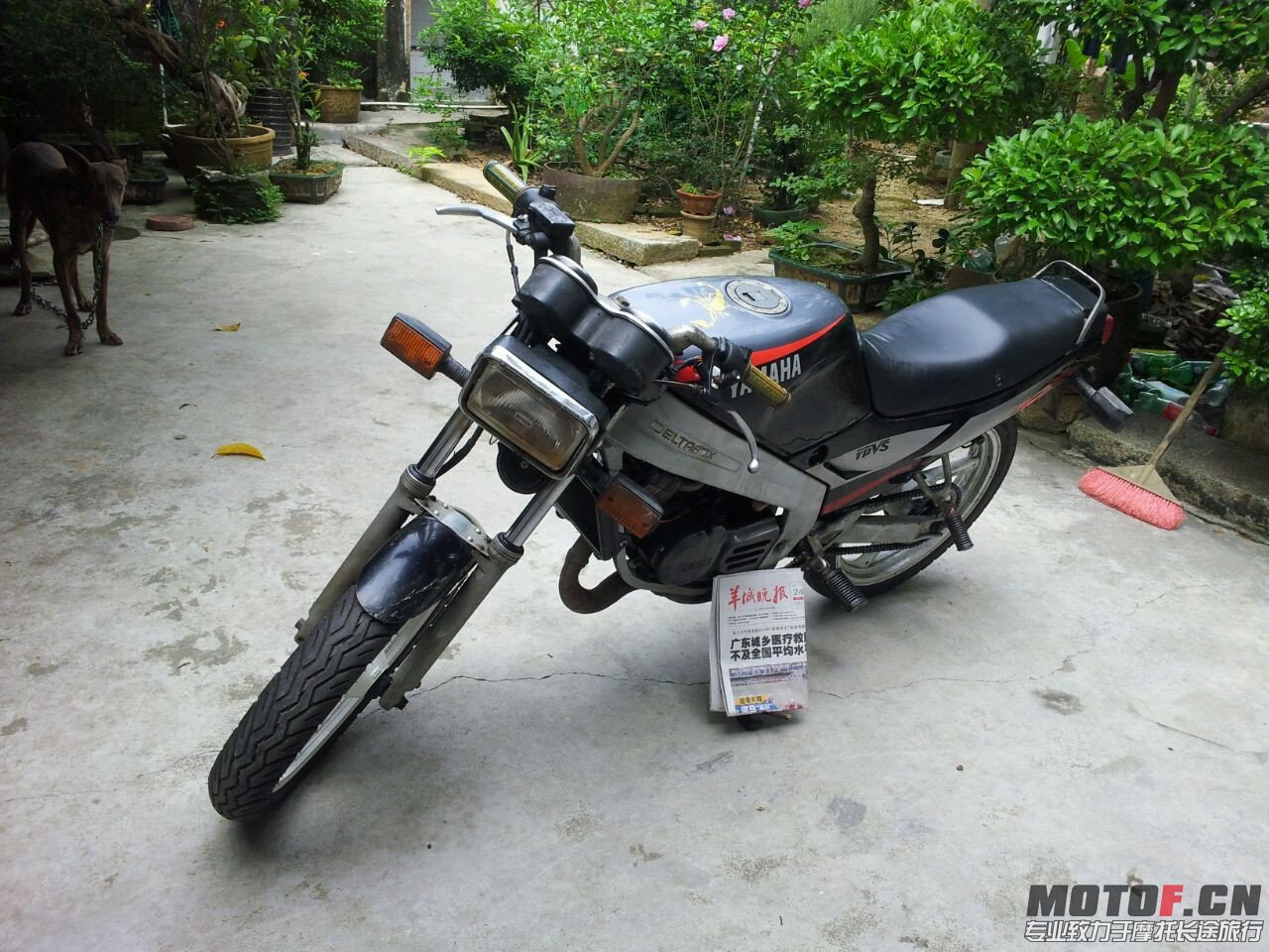 QQ图片20130925113717.jpg