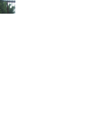 DSC02894.gif