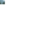 DSC02896.gif