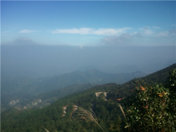 WP_000198.jpg