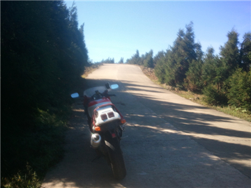 WP_000203.jpg