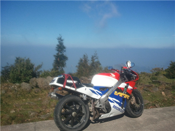 WP_000209.jpg