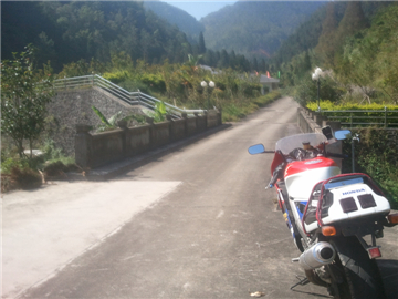 WP_000242.jpg