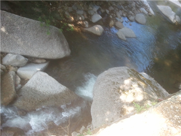 WP_000244.jpg