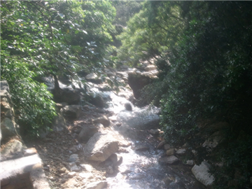WP_000246.jpg