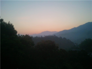 WP_000266.jpg