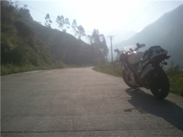 WP_000181.jpg