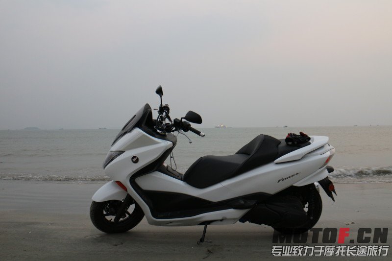 小白白