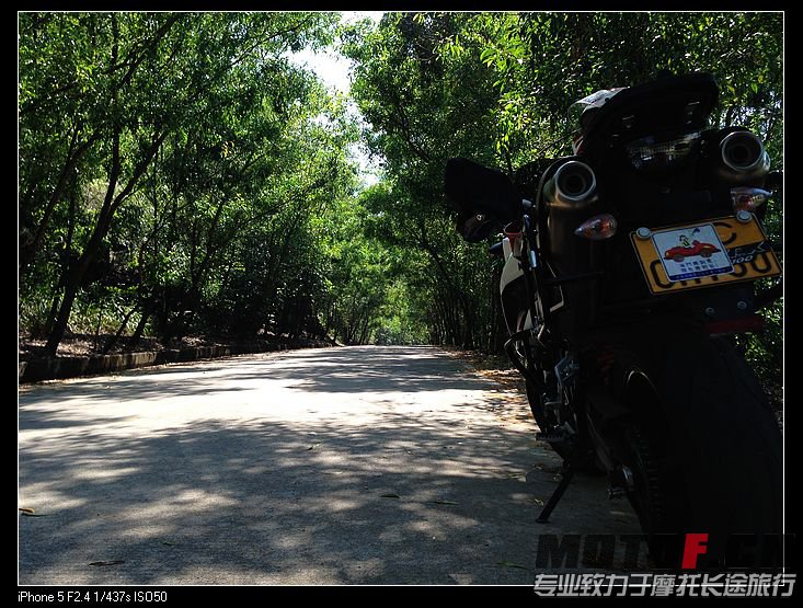 nEO_IMG_照片 006.jpg