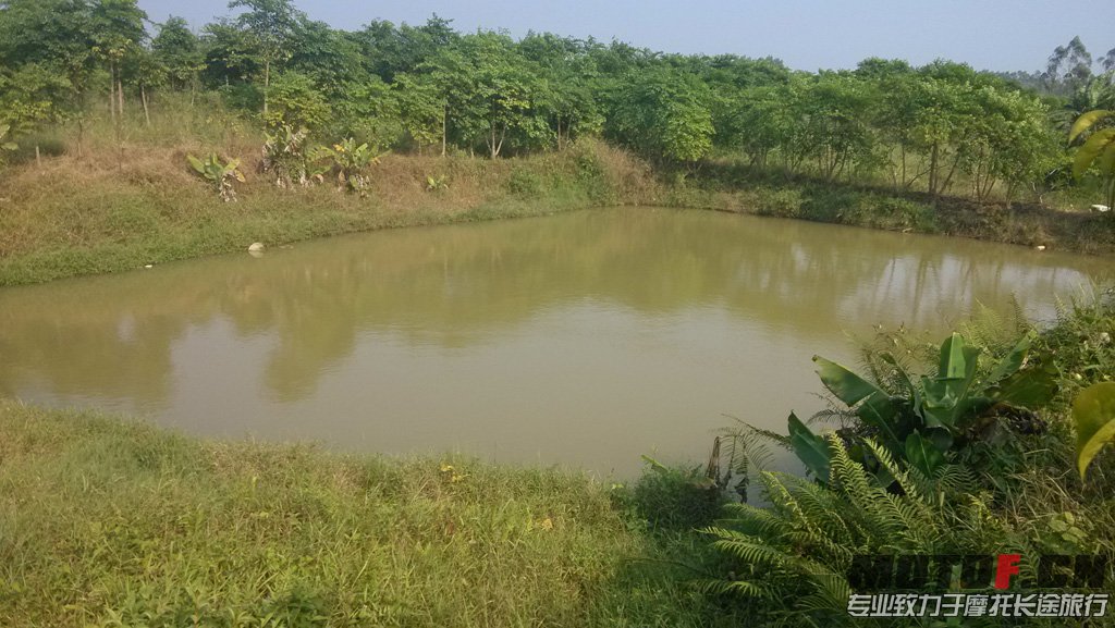 IMG_20131007_151541.jpg