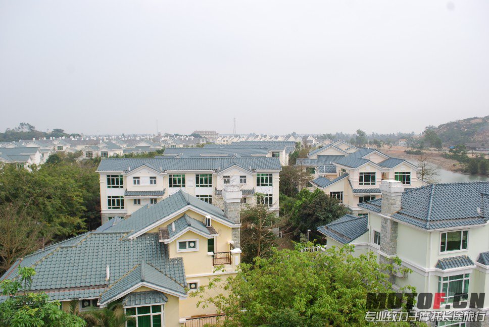 DSC_8771.JPG