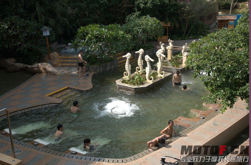 DSC_2919.jpg