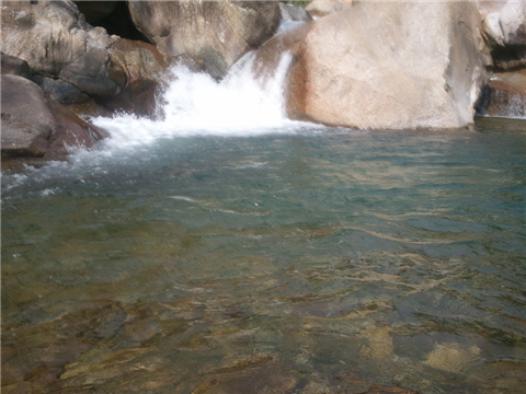 WP_000372.jpg