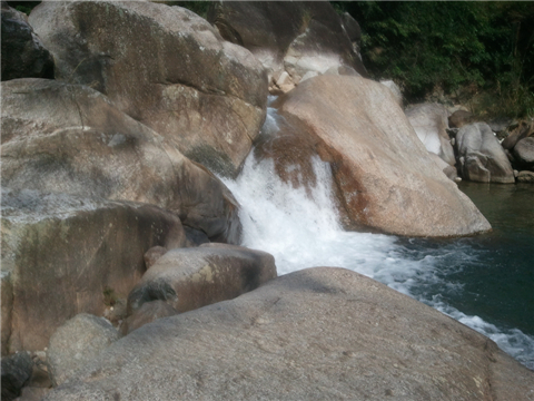 WP_000375.jpg