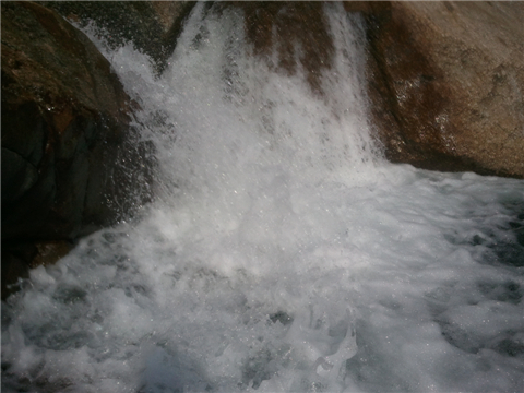 WP_000377.jpg
