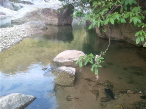 WP_000380.jpg