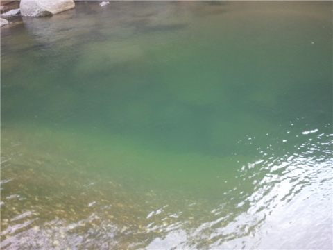 WP_000384.jpg
