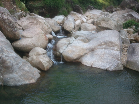 WP_000388.jpg
