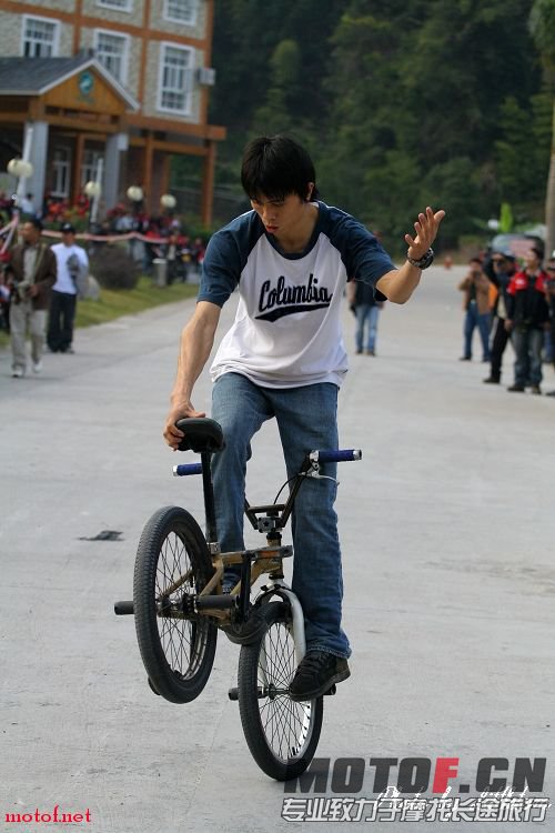 85.jpg