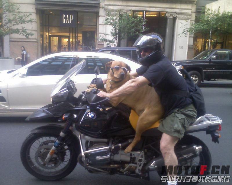 2536609875_79dfc24b7a_o_看图王.jpg