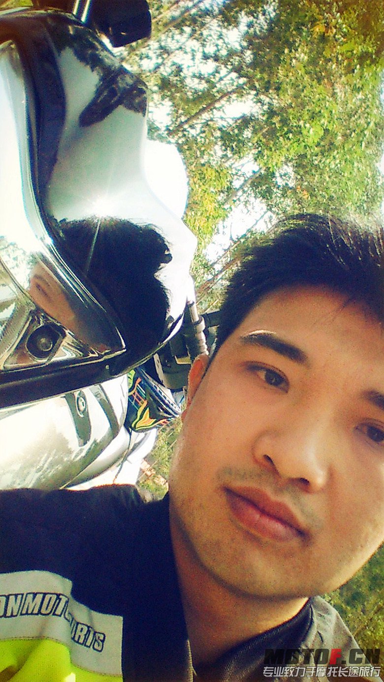 我与车车