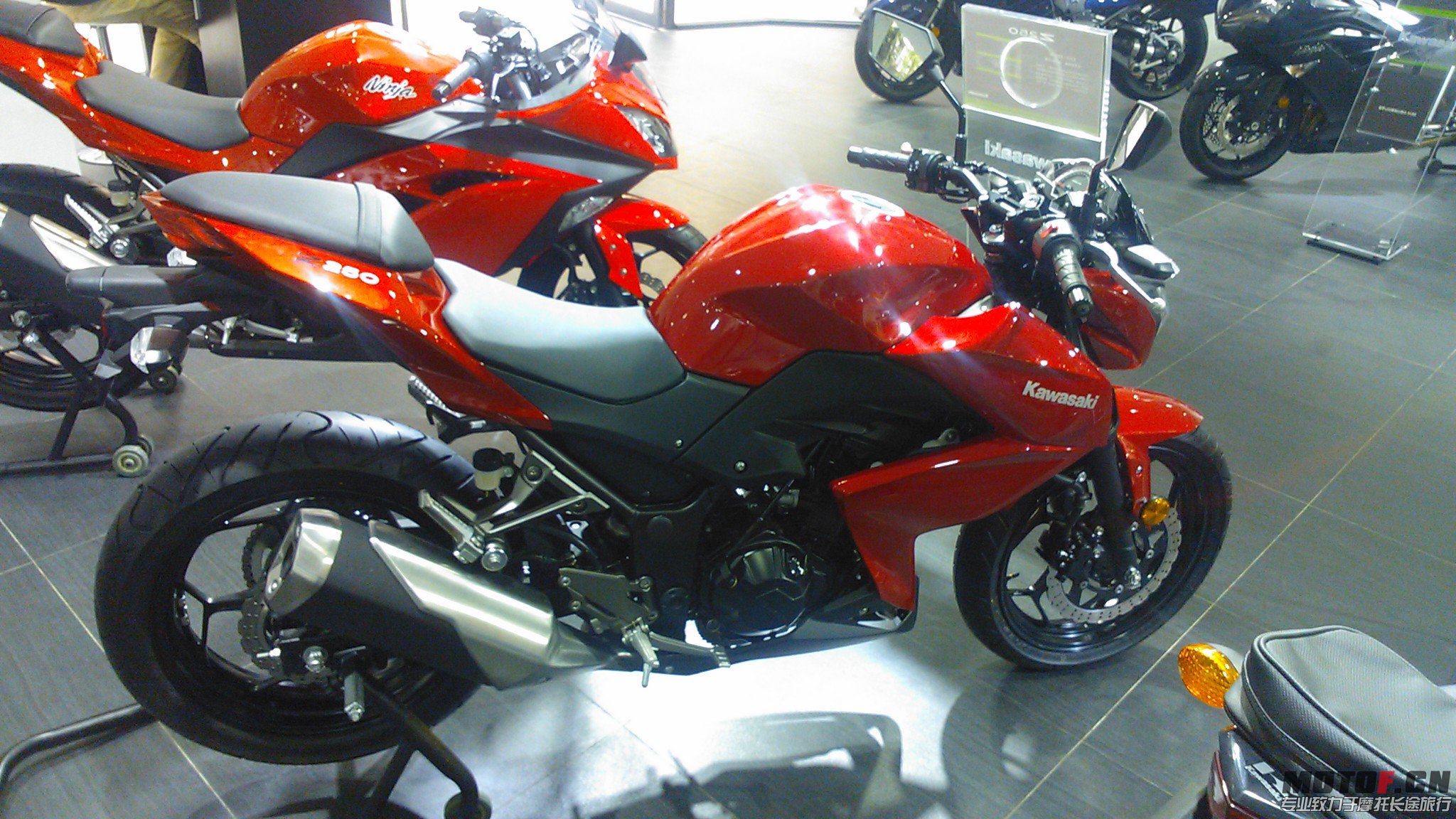 Z2502.jpg