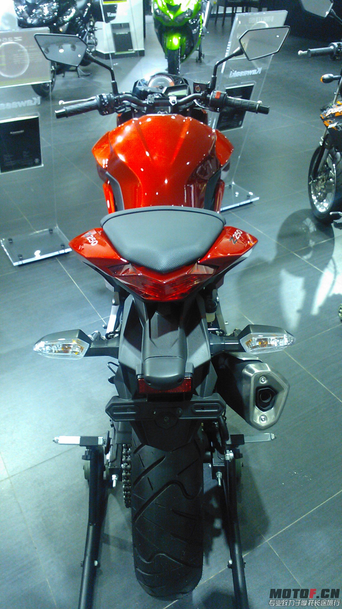 Z2503.jpg