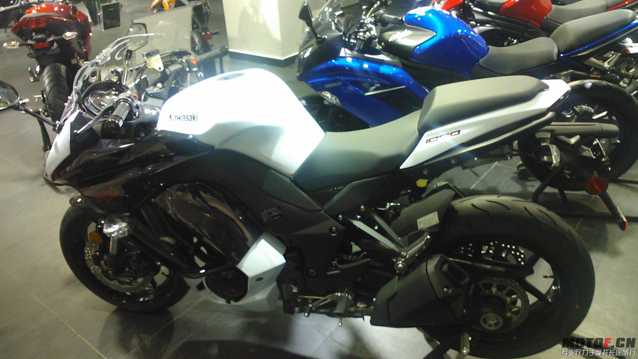 Z10002.jpg