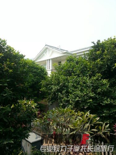 IMG20131101122737.jpg