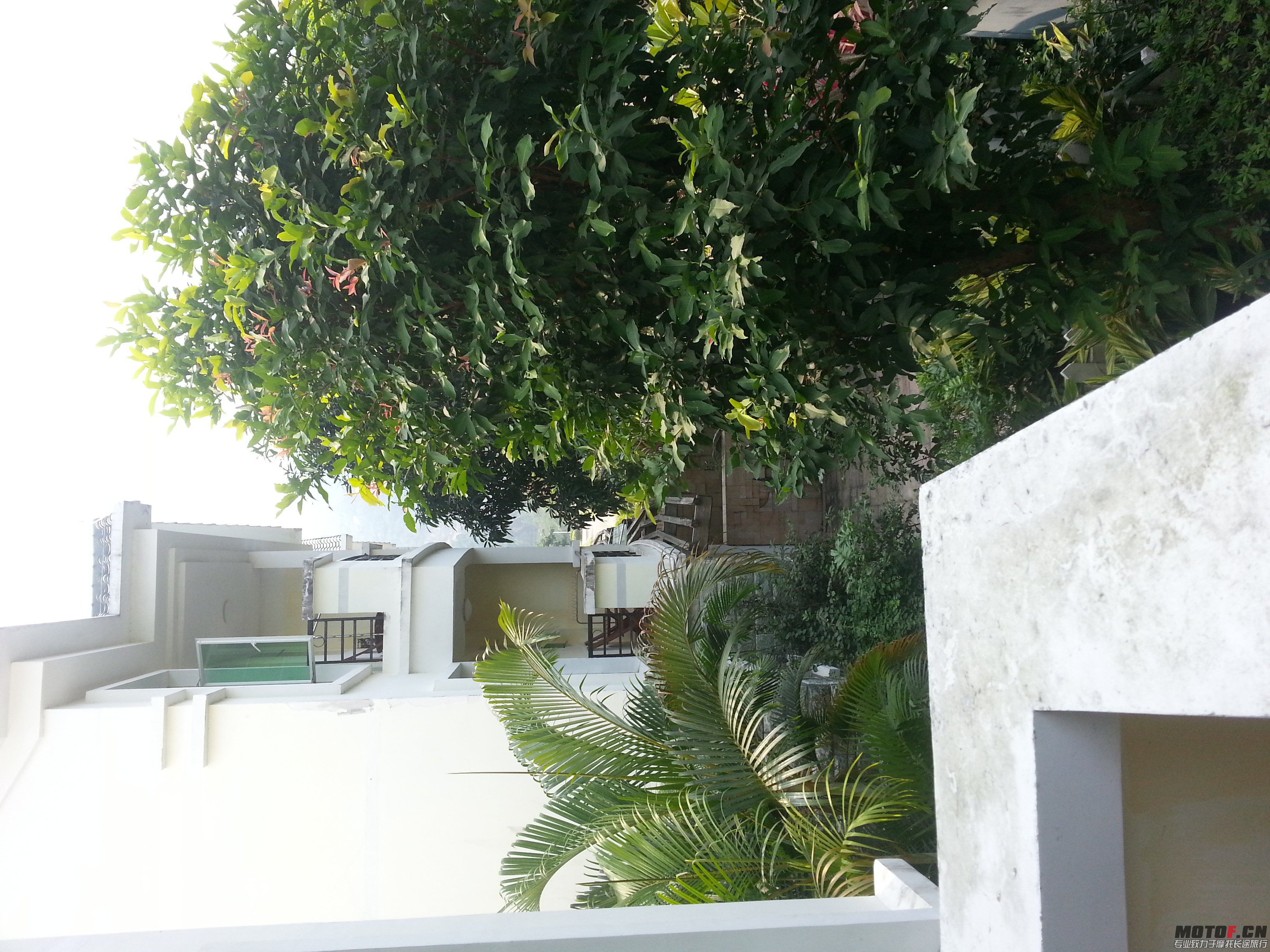 IMG20131101122707.jpg