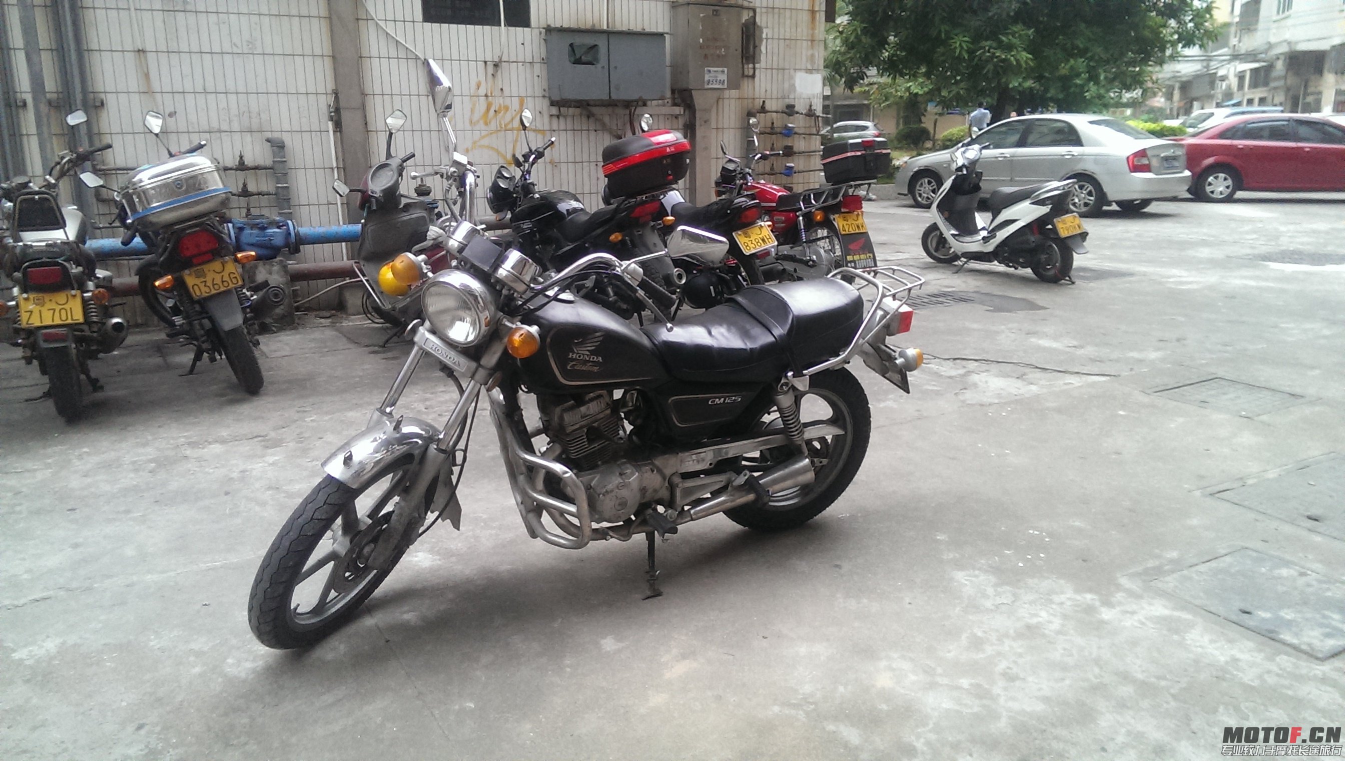 IMAG0532.jpg