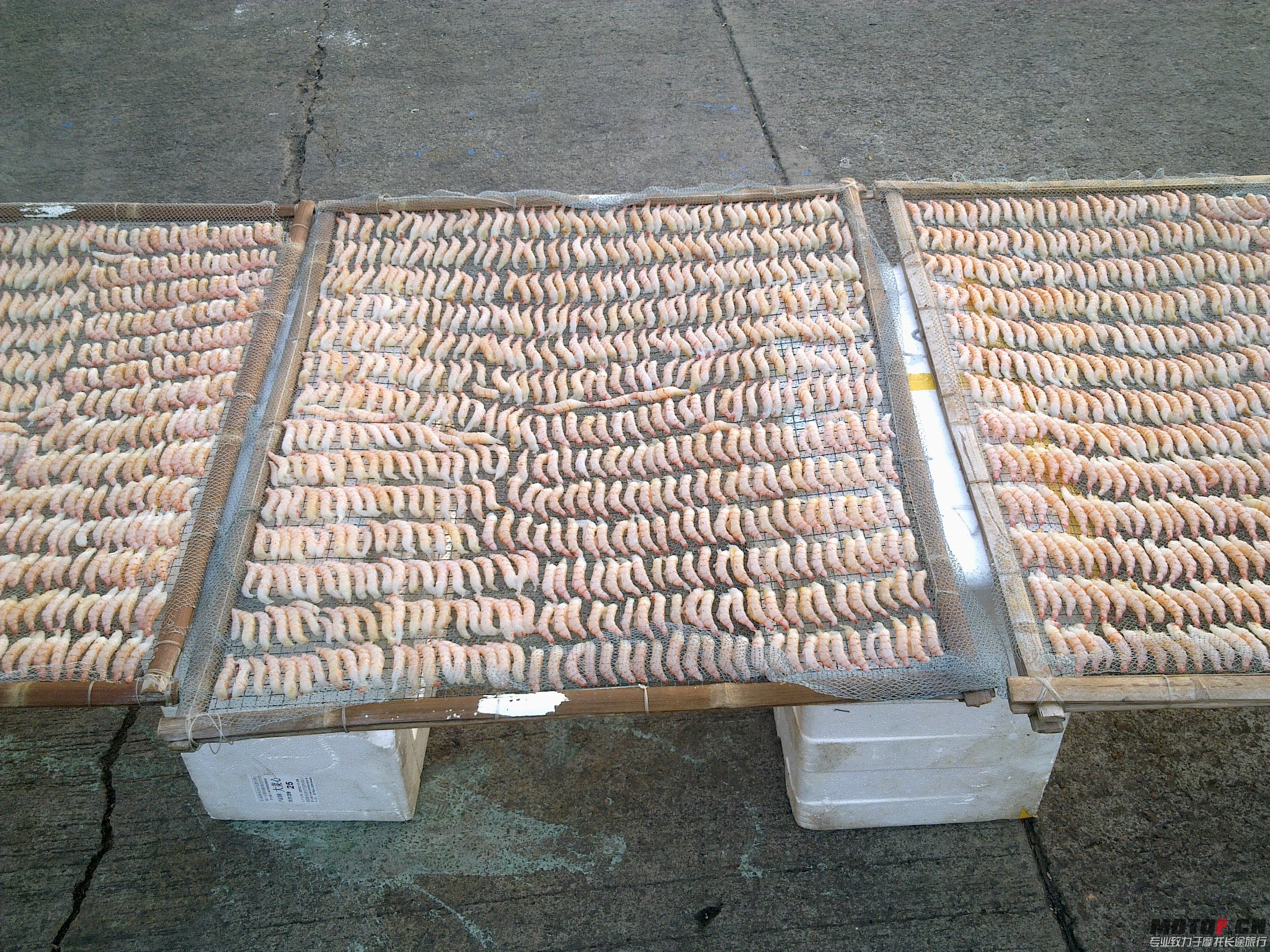 20121222803.jpg