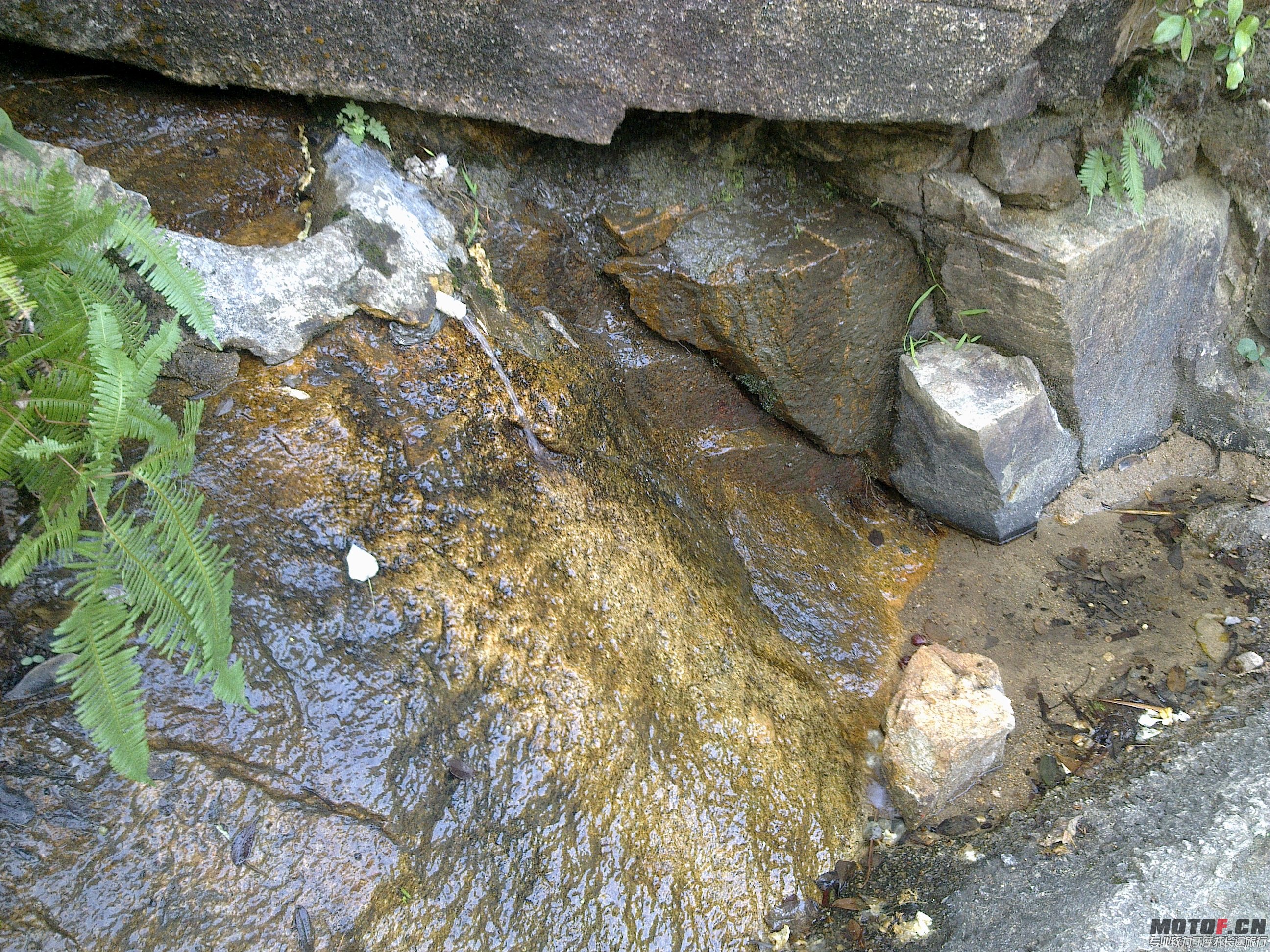 20121224842.jpg