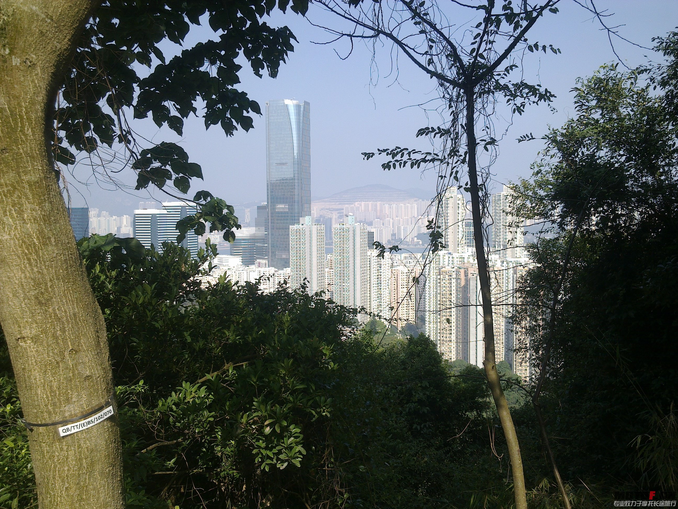 20121224846.jpg