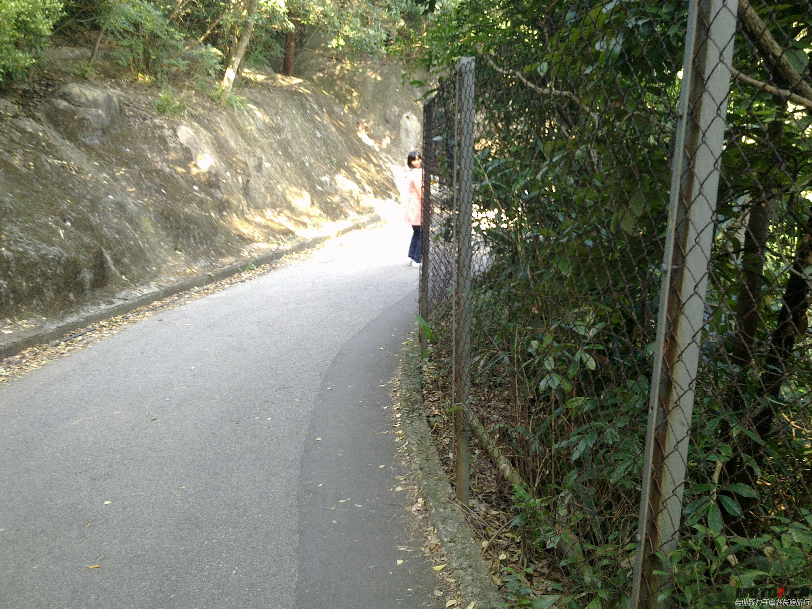 20121224847.jpg