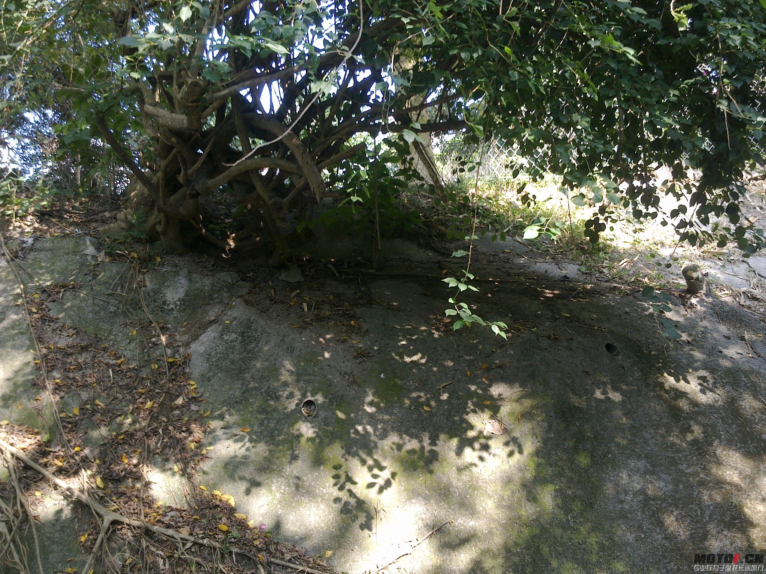 20121224852.jpg