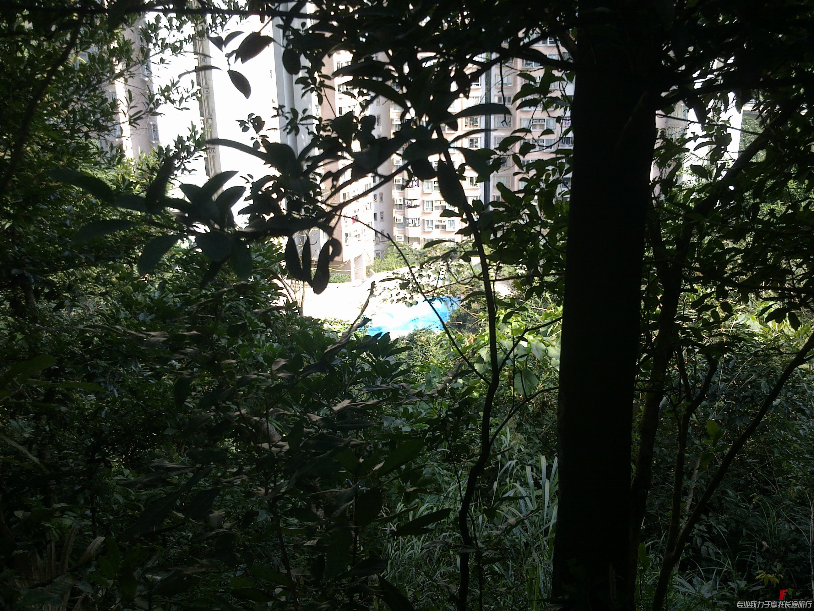 20121224856.jpg