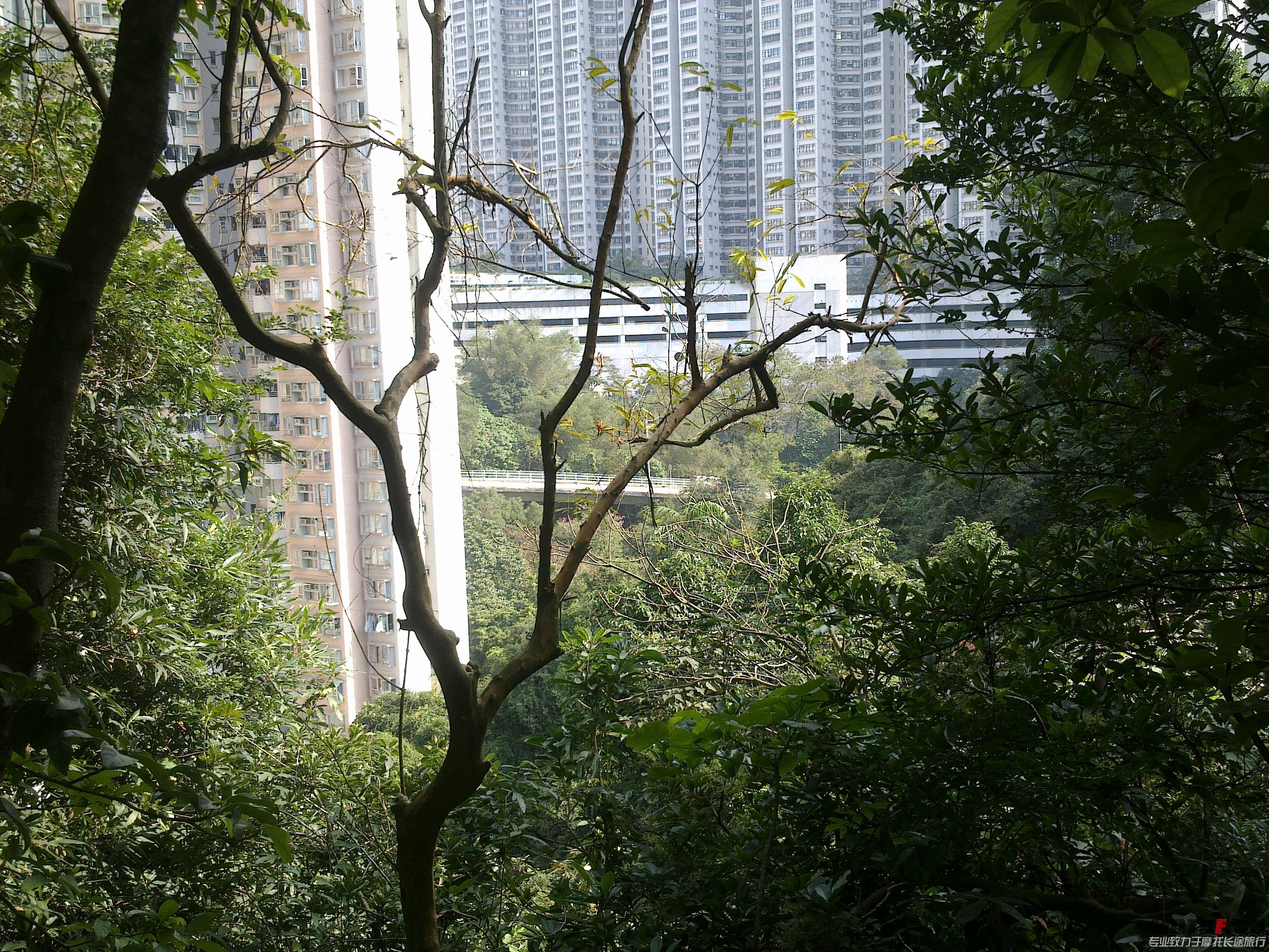 20121224857.jpg